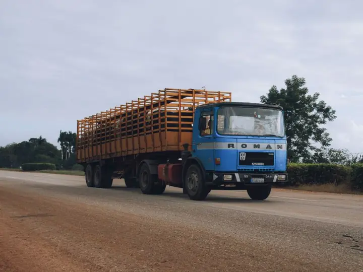 livestock transport truck