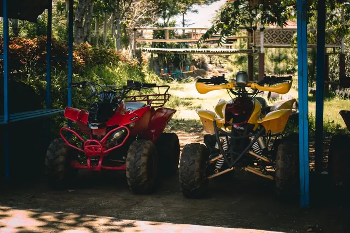 quad bike tour forest
