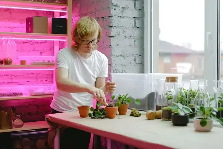 vertical farm microgreens shipping container interior